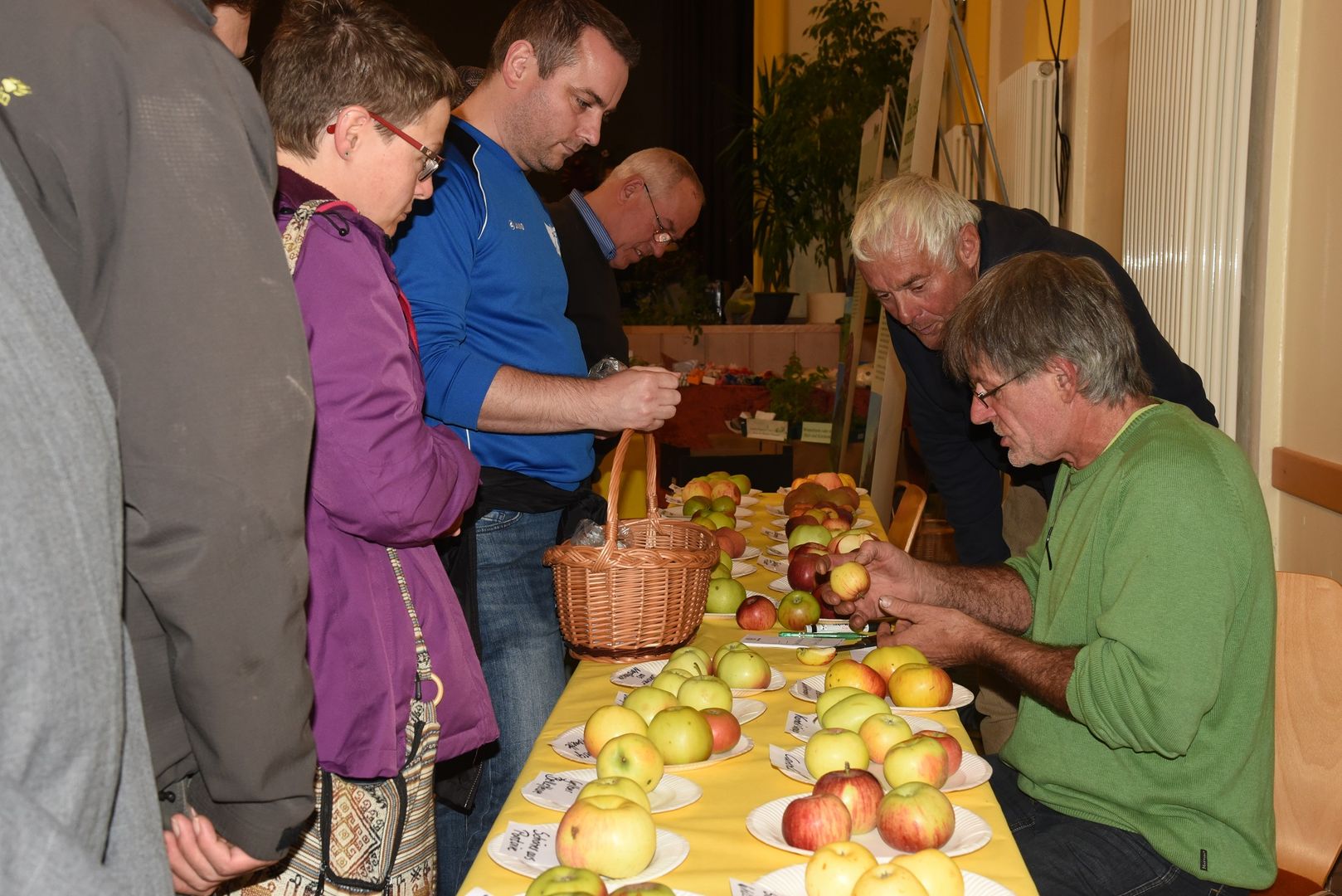 Frank Schelhorn, Pomologe, bestimmt die mitgebrachten Apfelsorten